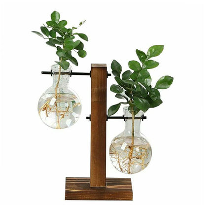 Bulb Vase with Wooden Stand