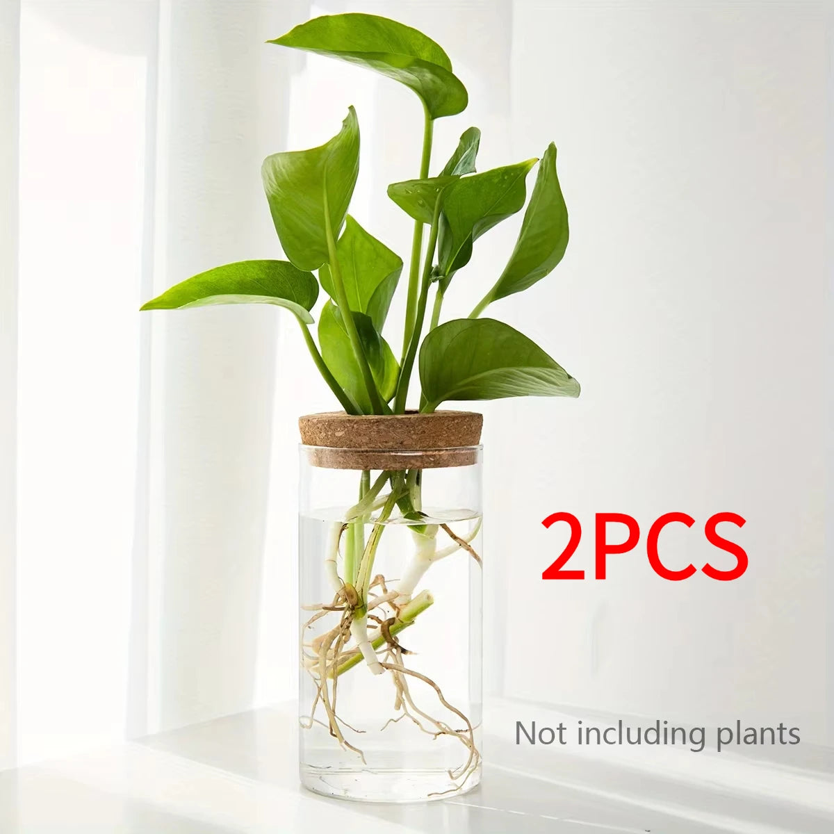 Hydro Bud Propagation Vase