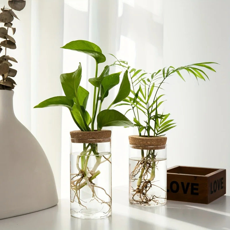 Hydro Bud Propagation Vase