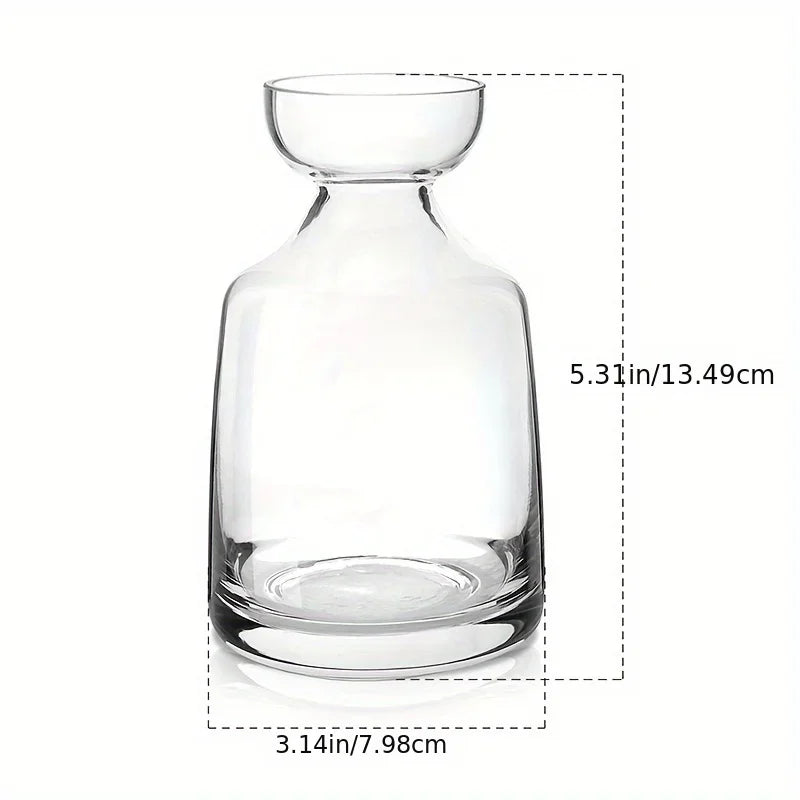 Avocado Seed Starter Vase