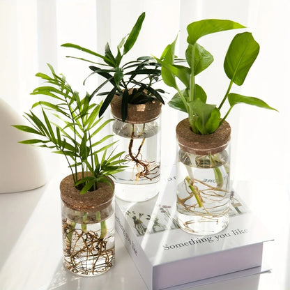 Hydro Bud Propagation Vase
