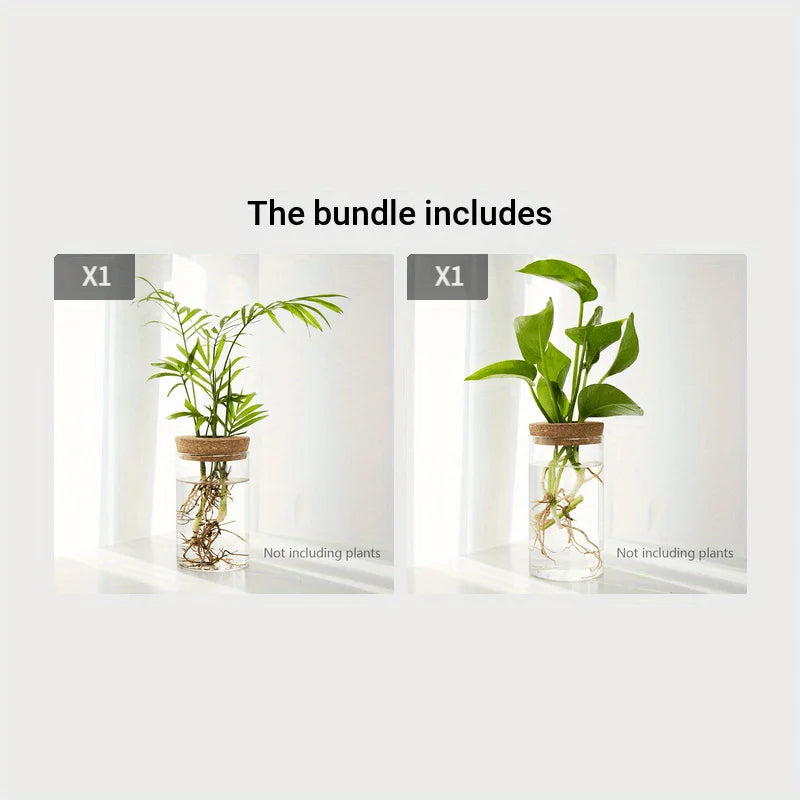 Hydro Bud Propagation Vase