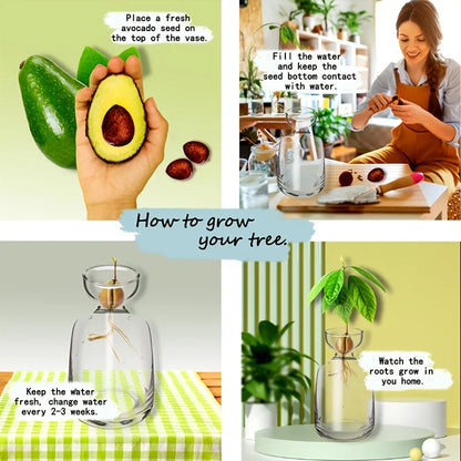 Avocado Seed Starter Vase