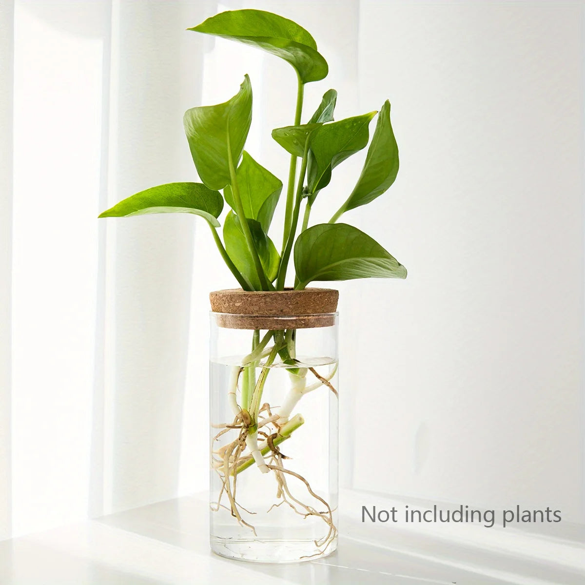 Hydro Bud Propagation Vase