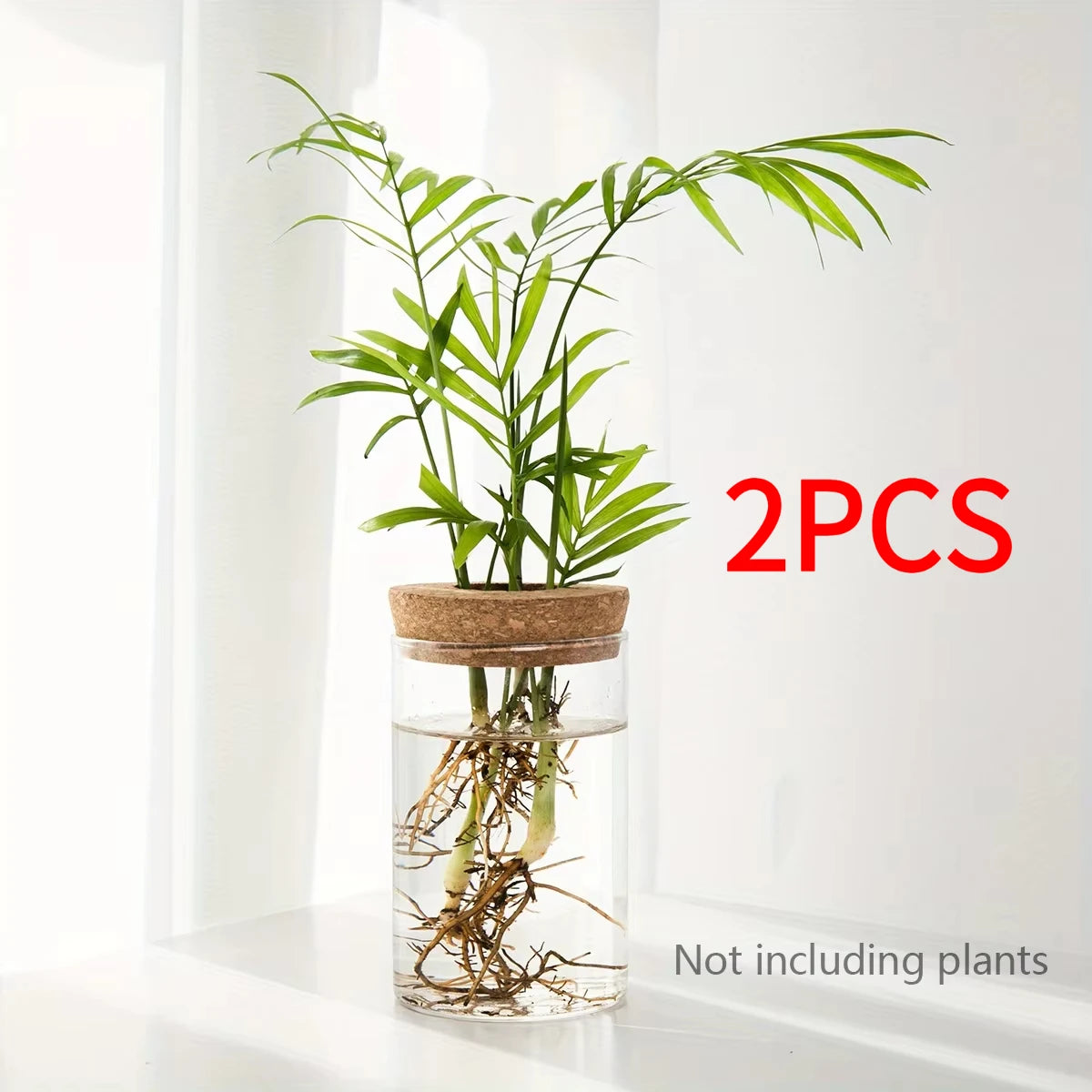 Hydro Bud Propagation Vase