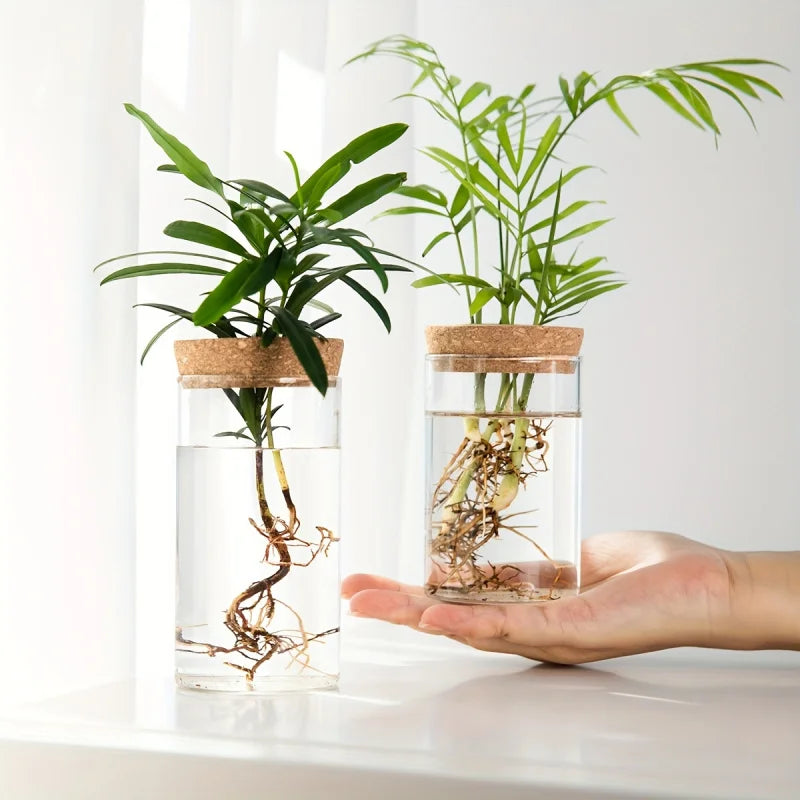 Hydro Bud Propagation Vase