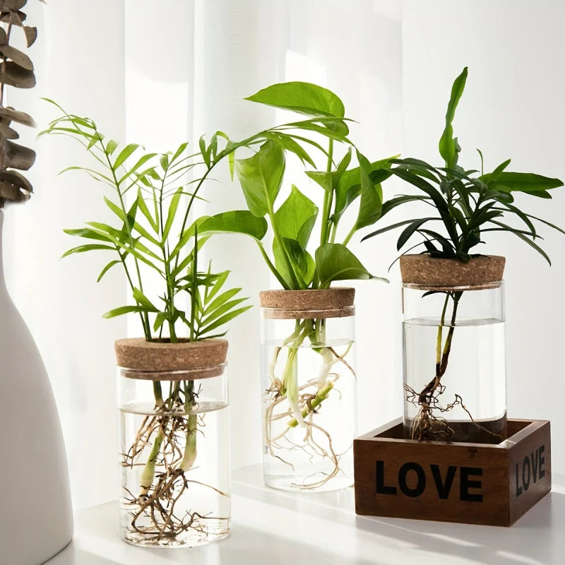 Hydro Bud Propagation Vase