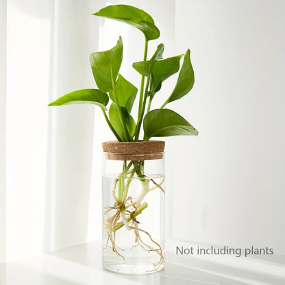 Hydro Bud Propagation Vase