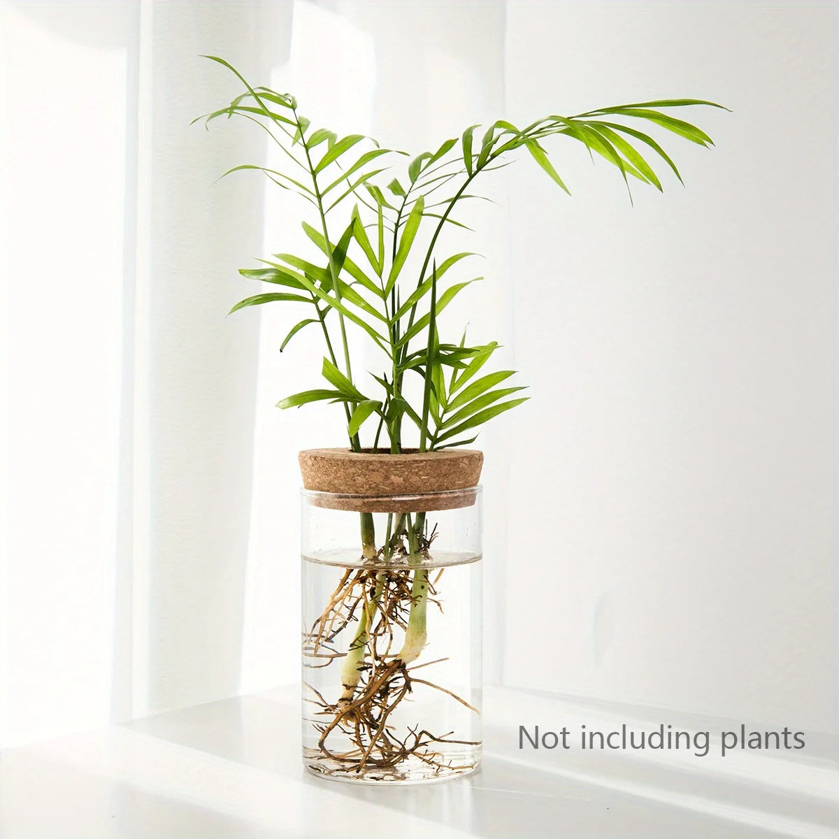 Hydro Bud Propagation Vase