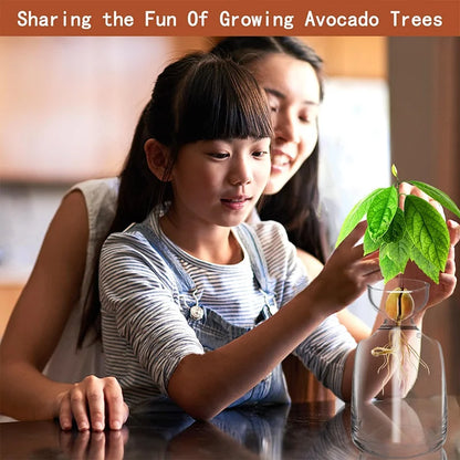 Avocado Seed Starter Vase