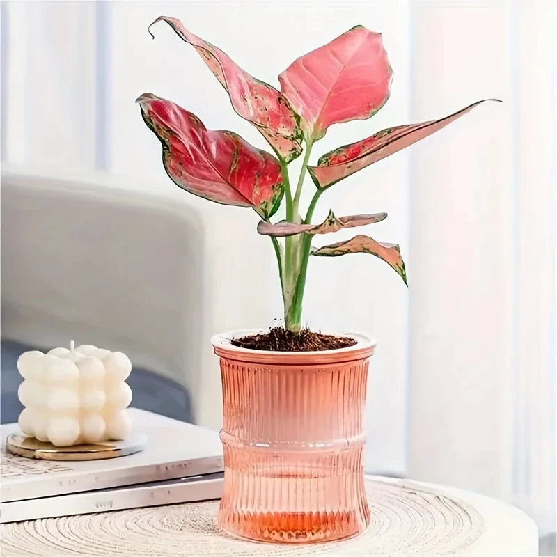 Lazy Self-Watering Planter