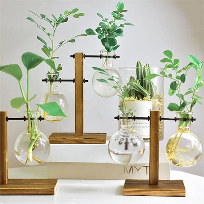 Bulb Vase with Wooden Stand