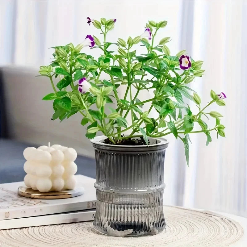 Lazy Self-Watering Planter
