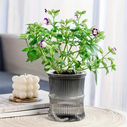Lazy Self-Watering Planter