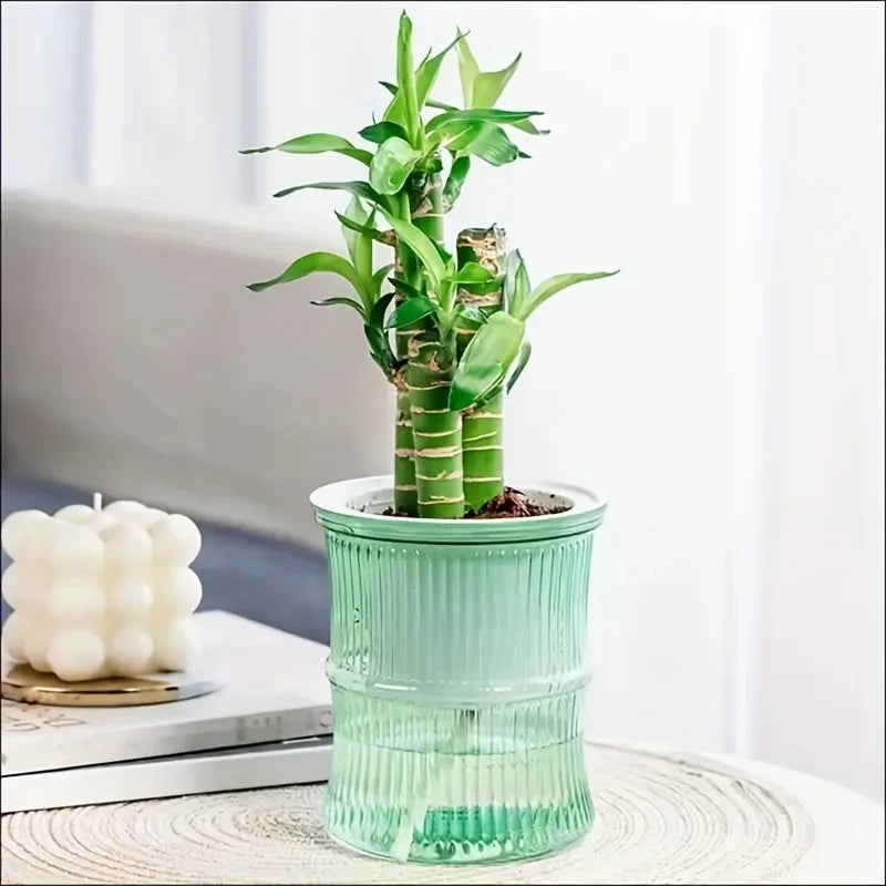 Lazy Self-Watering Planter