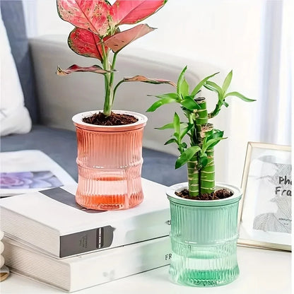 Lazy Self-Watering Planter