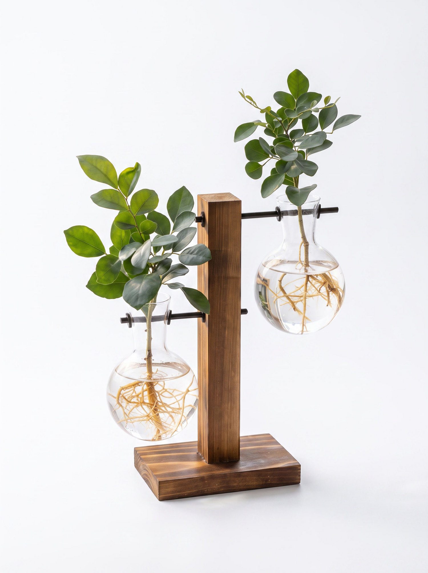 Bulb Vase with Wooden Stand studio