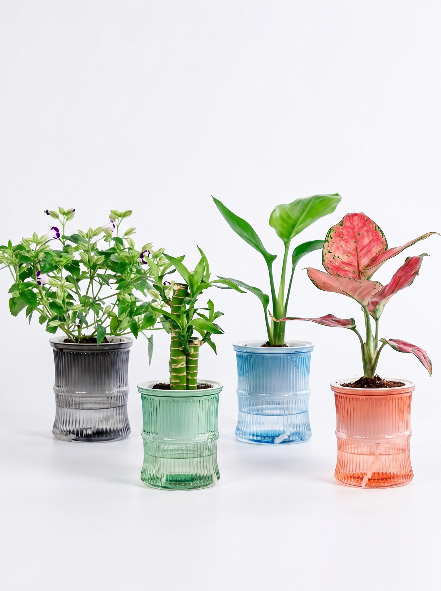Lazy Hydroponic Self Watering Pot studio iwt2