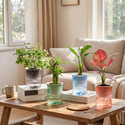 Lazy Self-Watering Planter in use